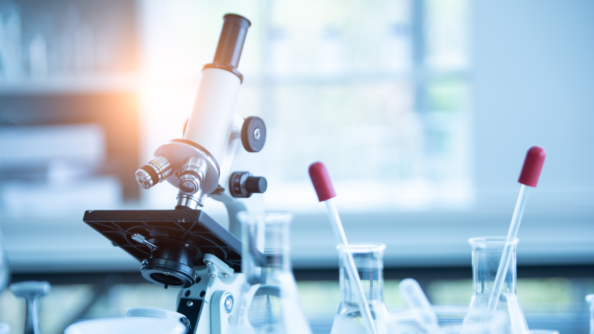 Laboratory Equipment Management