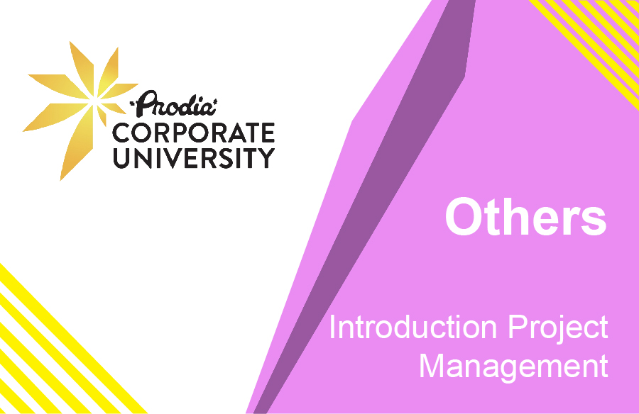 Introduction Project Management